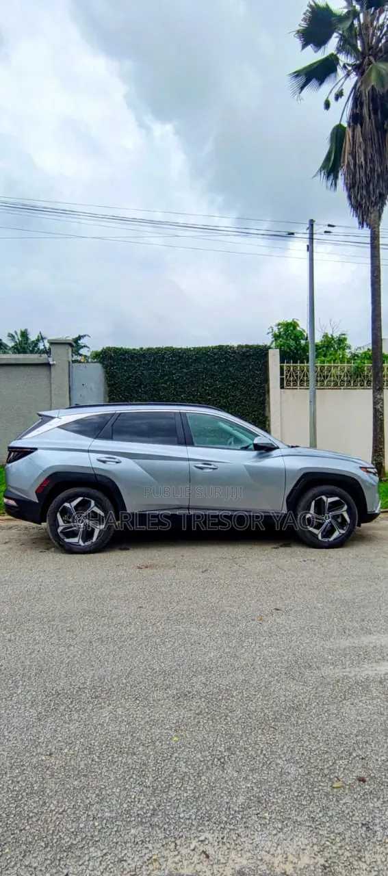 Hyundai Tucson Limited 2023 Gris