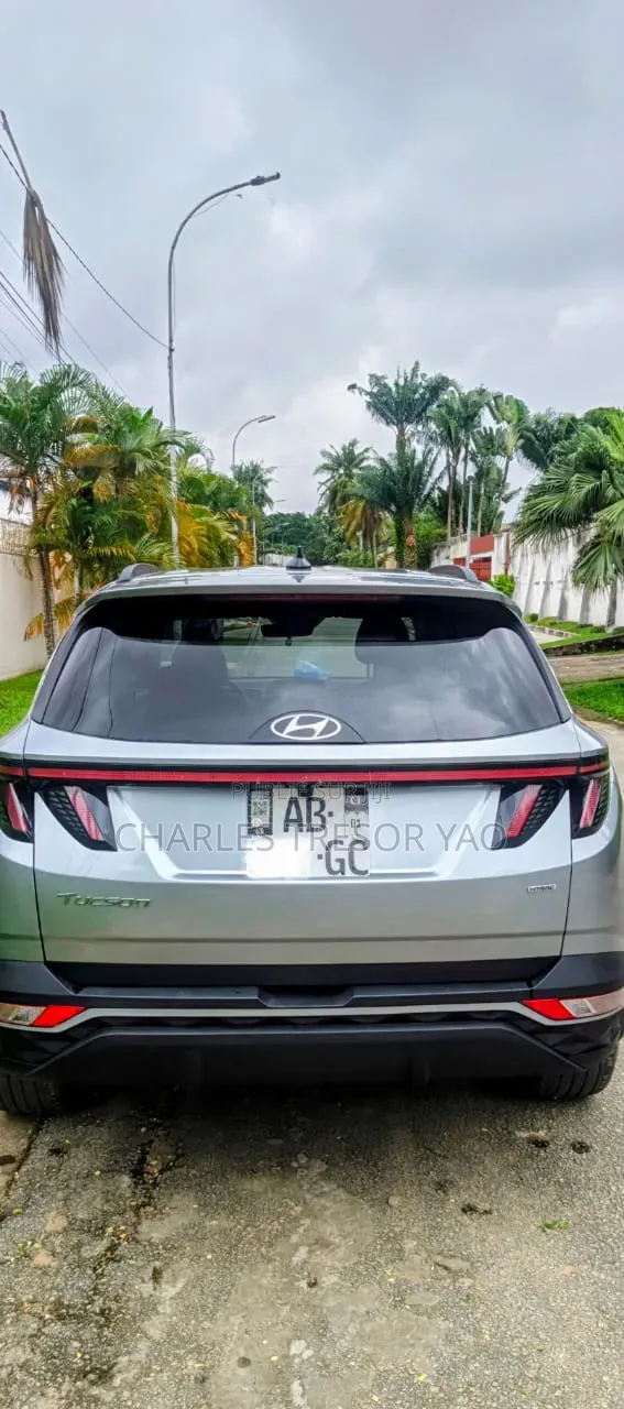 Hyundai Tucson Limited 2023 Gris
