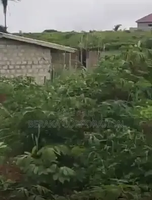 2 Lots De 400m2 À Vendre À SONGON KASSEMBLÉ Derrière Les Logements Soc