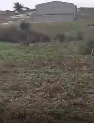 2 Lots De 400m2 À Vendre À SONGON KASSEMBLÉ Derrière Les Logements Soc