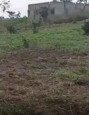 2 Lots De 400m2 À Vendre À SONGON KASSEMBLÉ Derrière Les Logements Soc