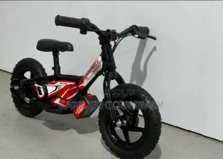 Vélo Électrique