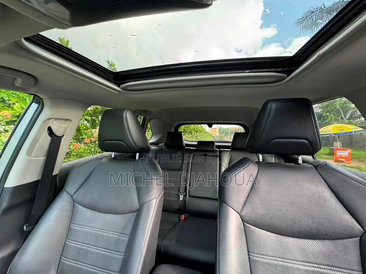 Toyota RAV4 2023 Gris