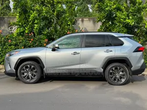 Toyota RAV4 2023 Gris