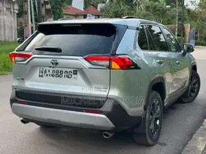 Toyota RAV4 2023 Gris