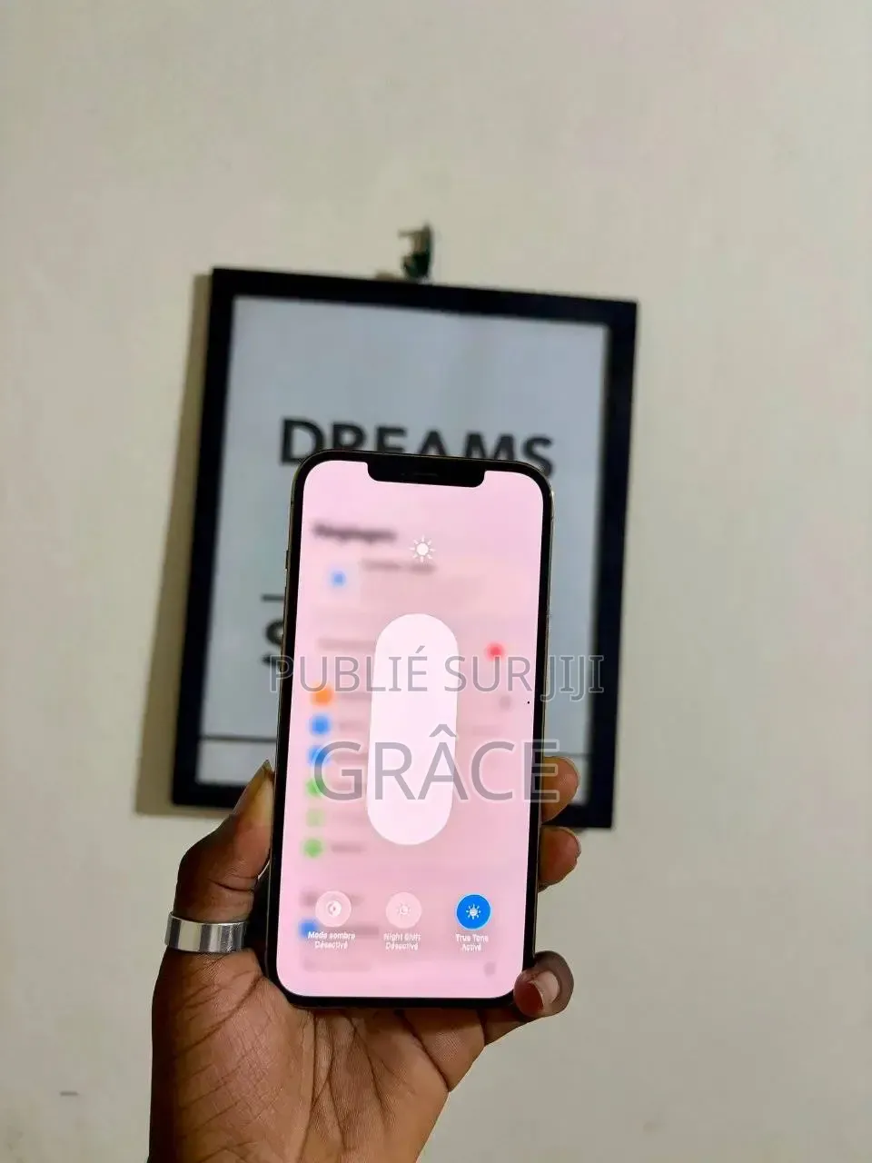Nouveau Apple iPhone 13 Pro Max 256 GB Gris