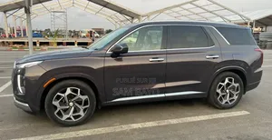 Hyundai Palissade 2021 Bourgogne