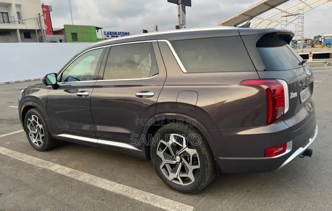 Hyundai Palissade 2021 Bourgogne