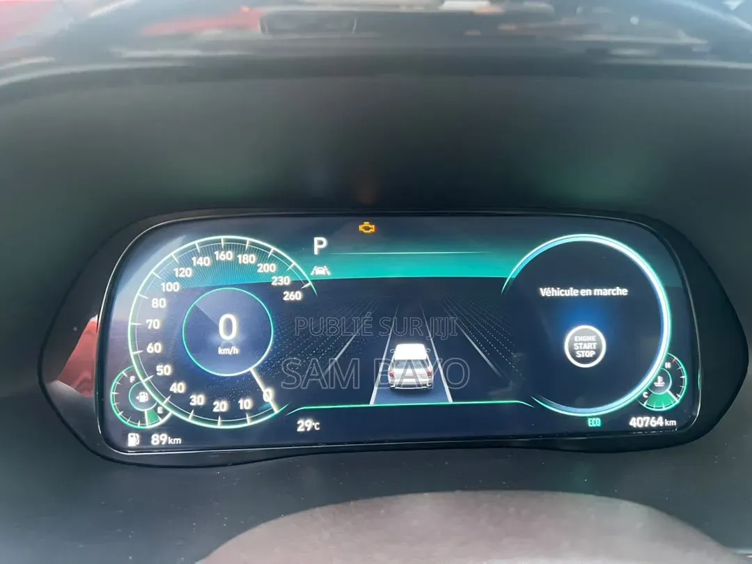 Hyundai Palissade 2021 Bourgogne