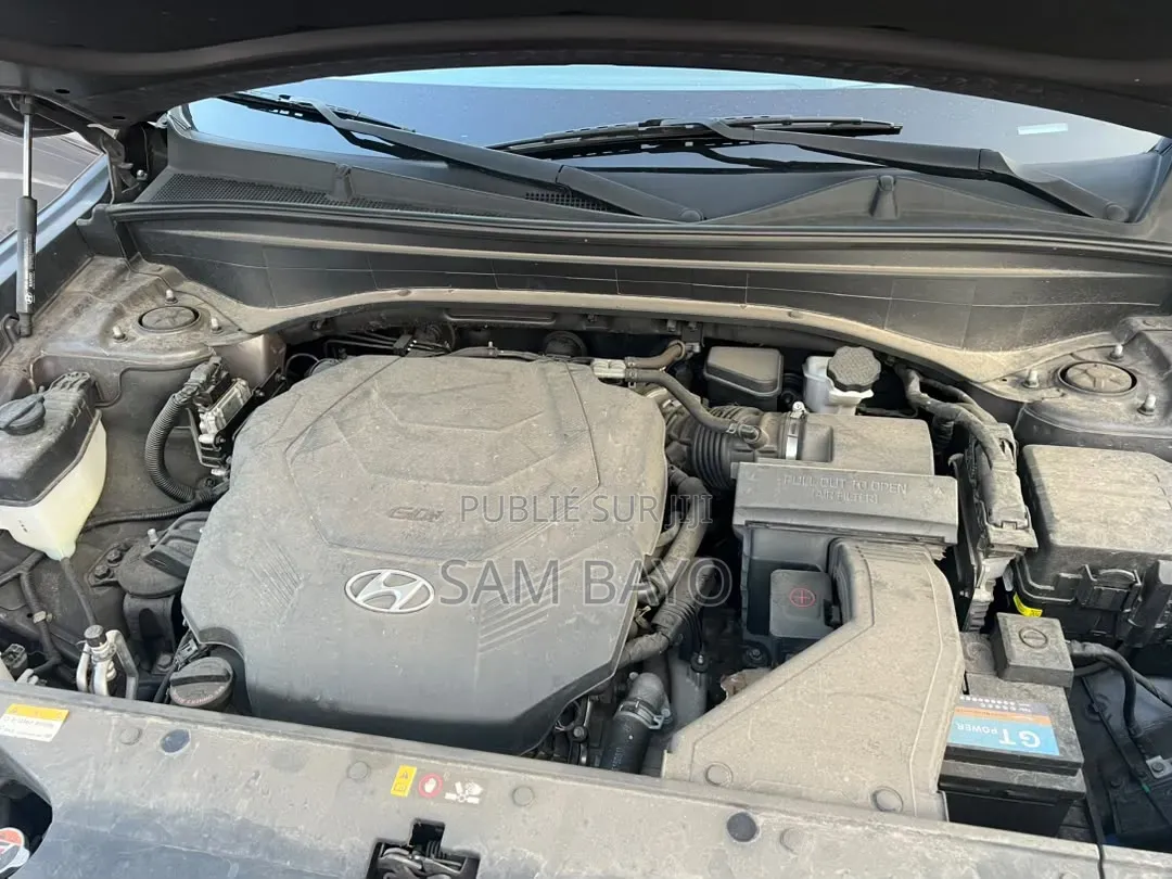 Hyundai Palissade 2021 Bourgogne