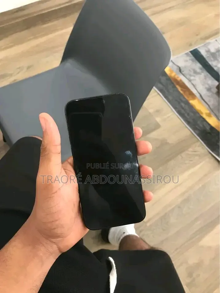 Nouveau Apple iPhone 13 Pro Max 256 GB Gris
