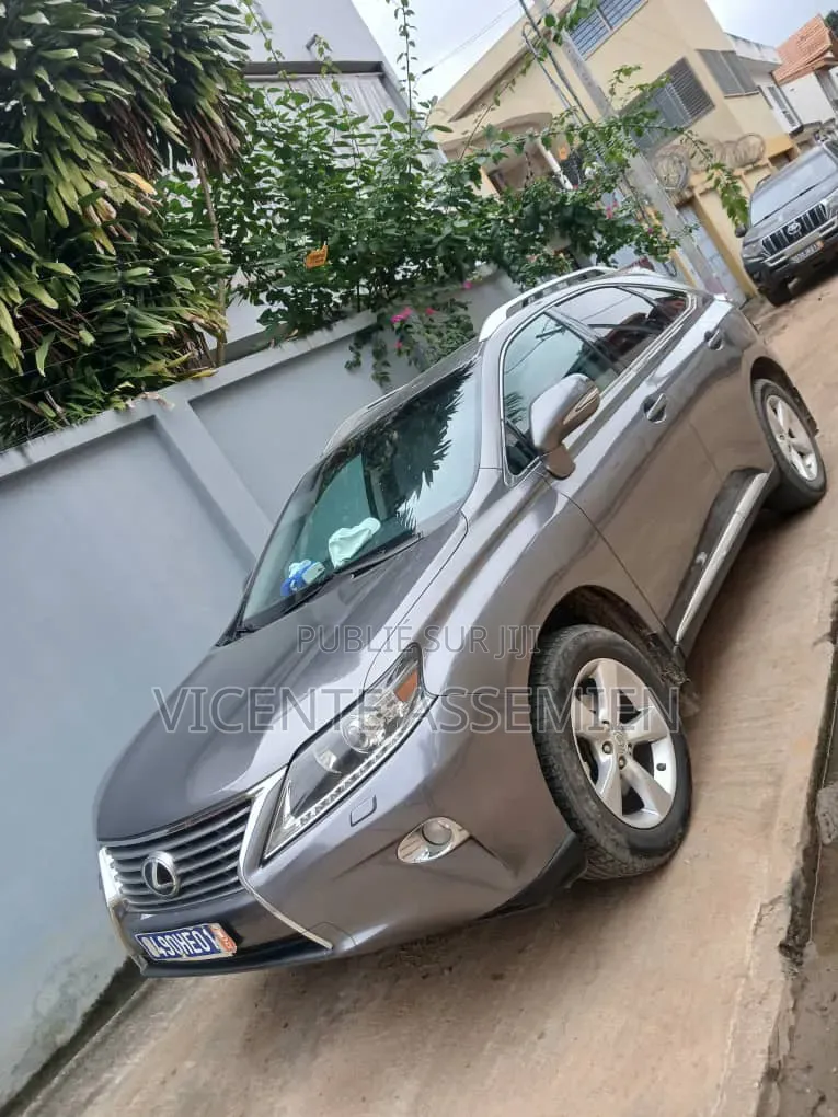 Lexus RX 2013 Gris