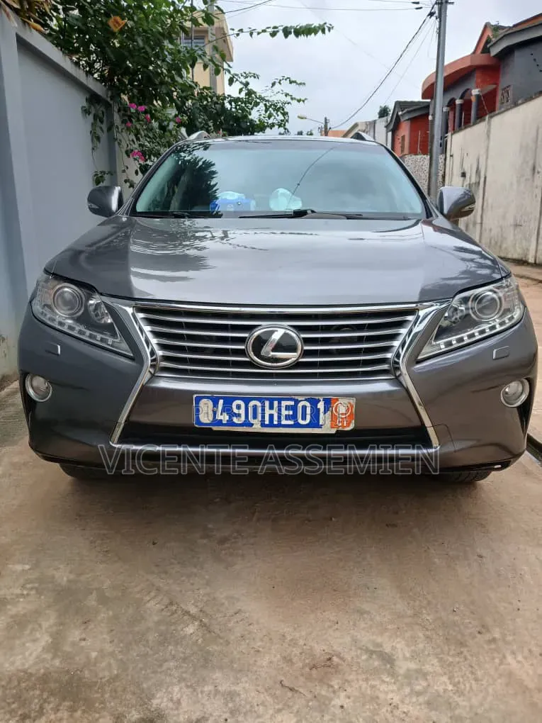 Lexus RX 2013 Gris