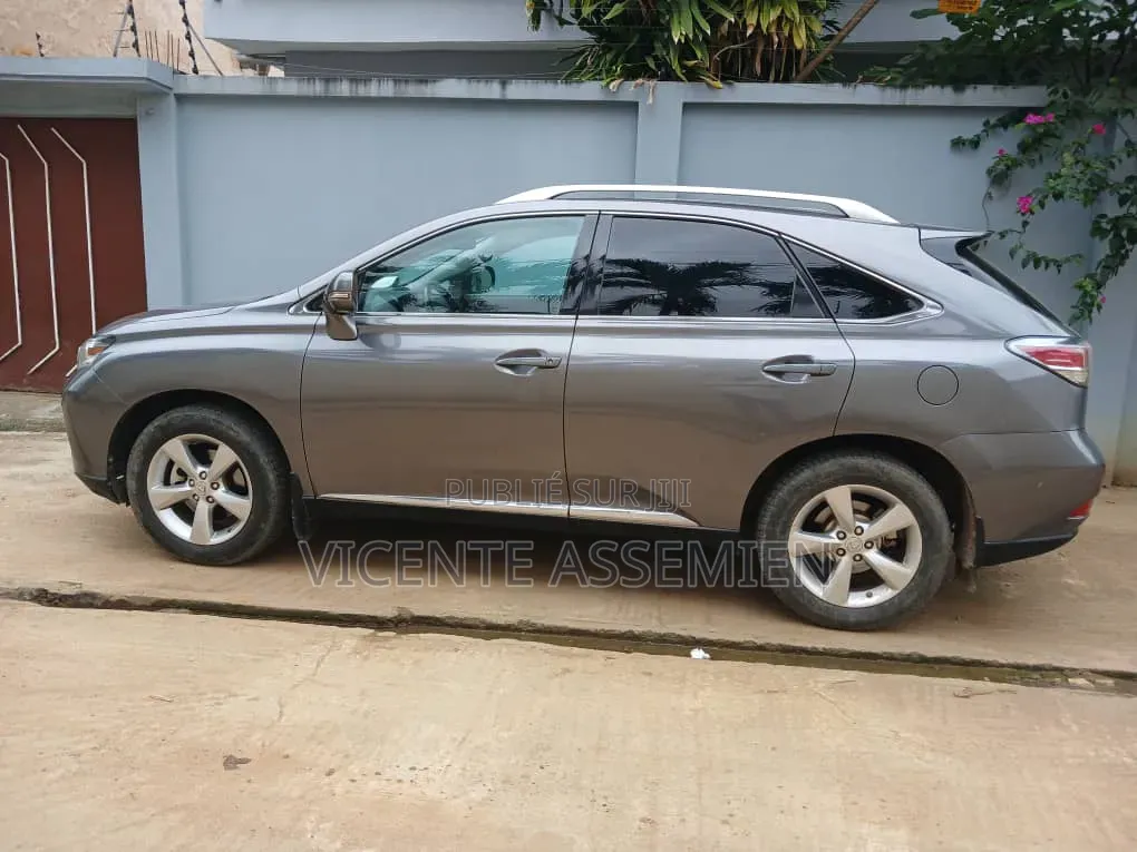 Lexus RX 2013 Gris