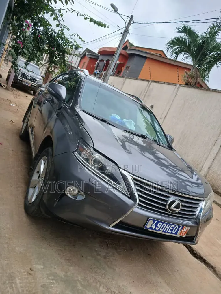 Lexus RX 2013 Gris