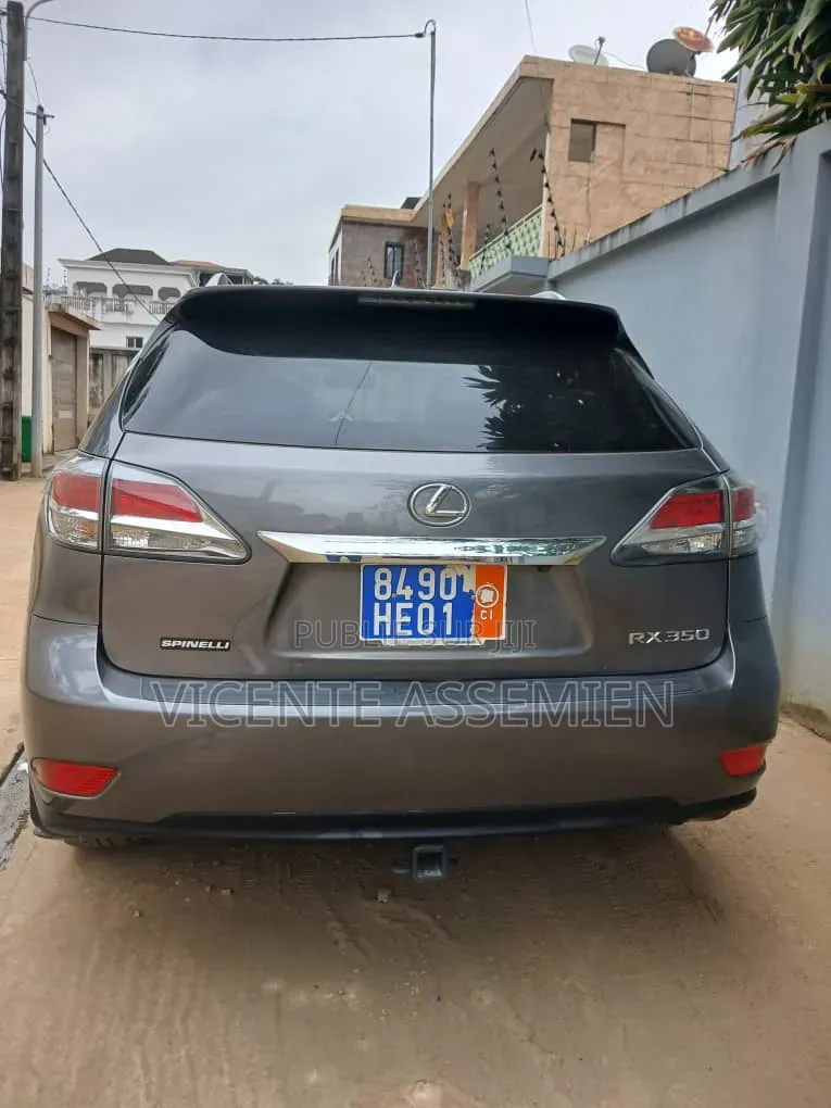 Lexus RX 2013 Gris