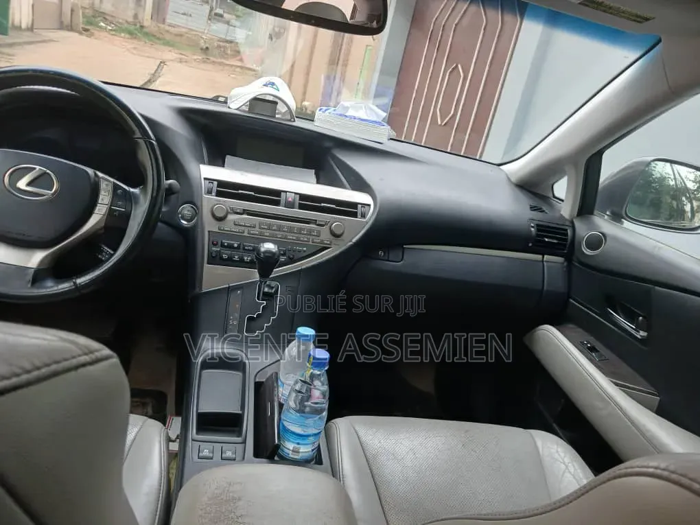Lexus RX 2013 Gris