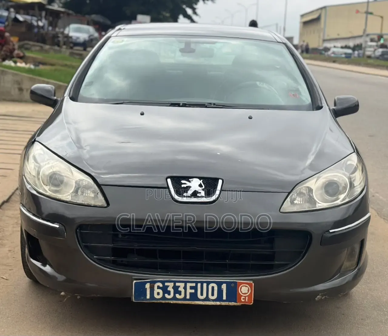 Peugeot 407 2005 Gris