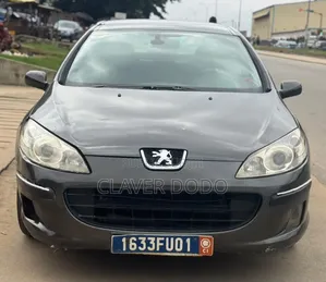 Peugeot 407 2005 Gris
