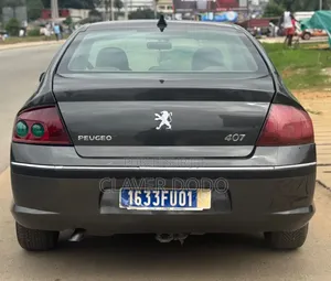 Peugeot 407 2005 Gris