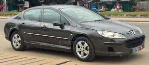 Peugeot 407 2005 Gris