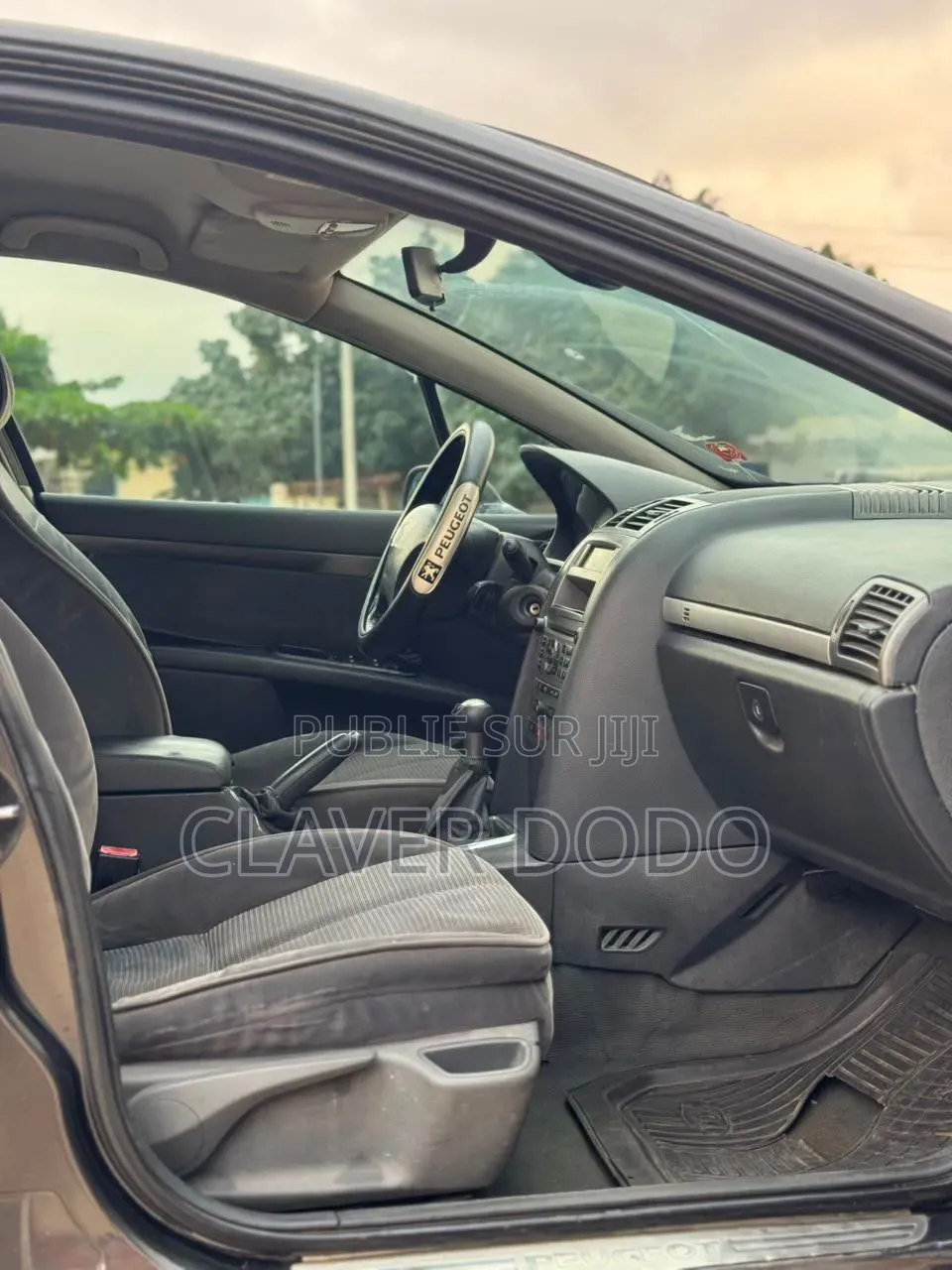 Peugeot 407 2005 Gris