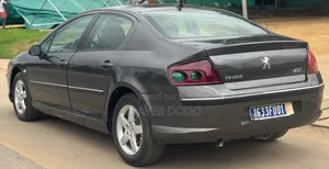 Peugeot 407 2005 Gris