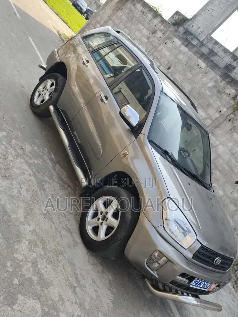 Toyota RAV4 2019 Gris