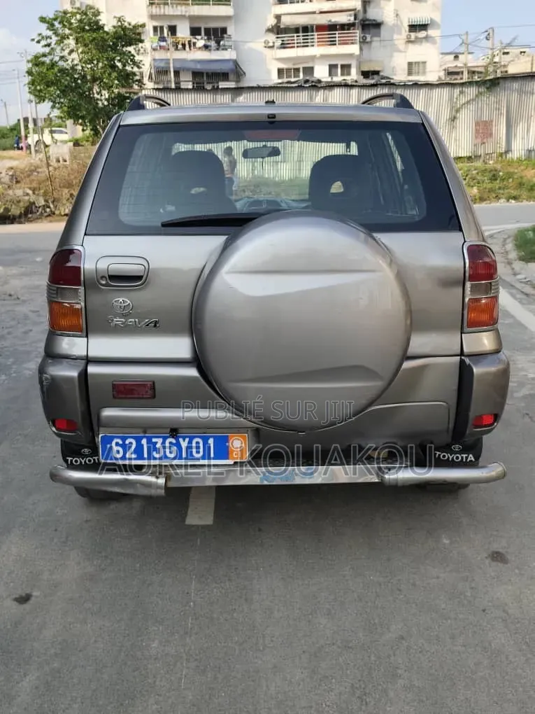 Toyota RAV4 2019 Gris
