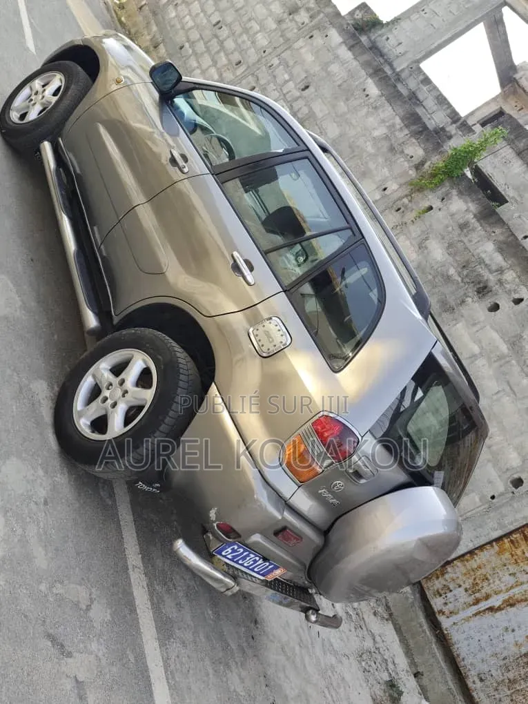 Toyota RAV4 2019 Gris