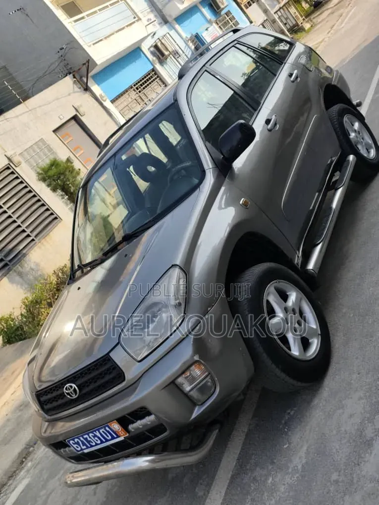 Toyota RAV4 2019 Gris