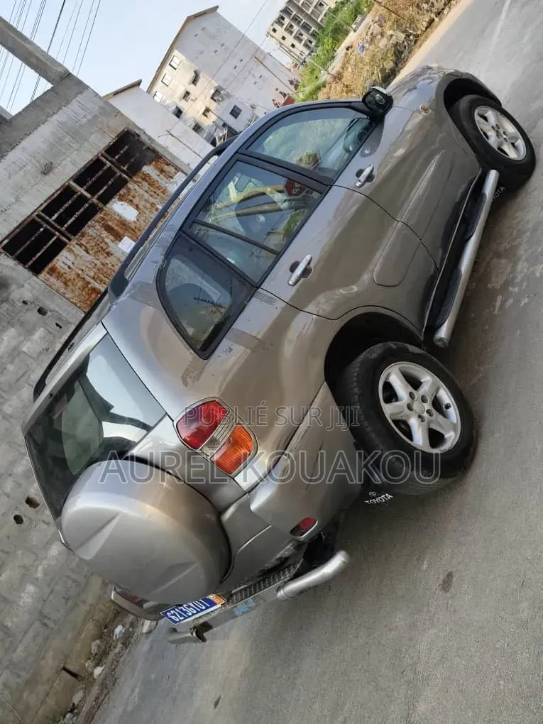 Toyota RAV4 2019 Gris