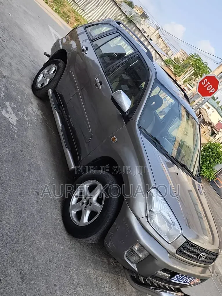 Toyota RAV4 2019 Gris
