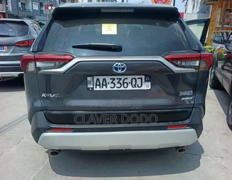 Toyota RAV4 2022 Gris