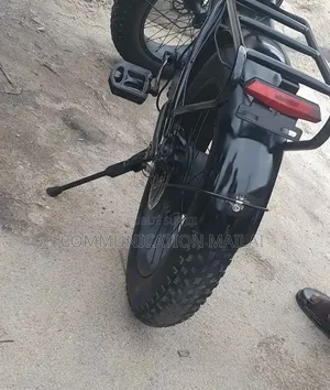 Vélo Électrique