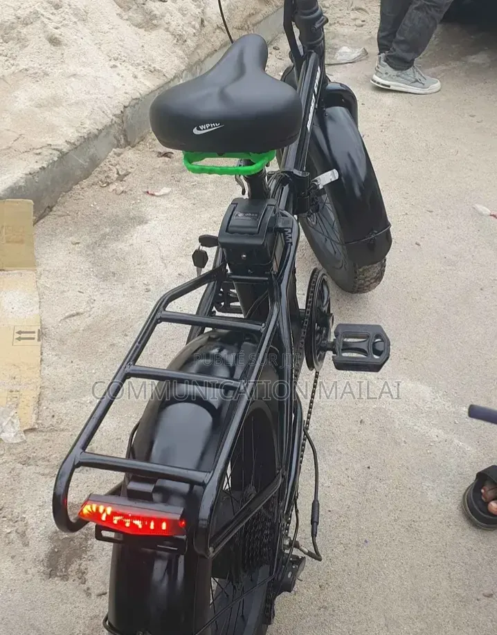 Vélo Électrique