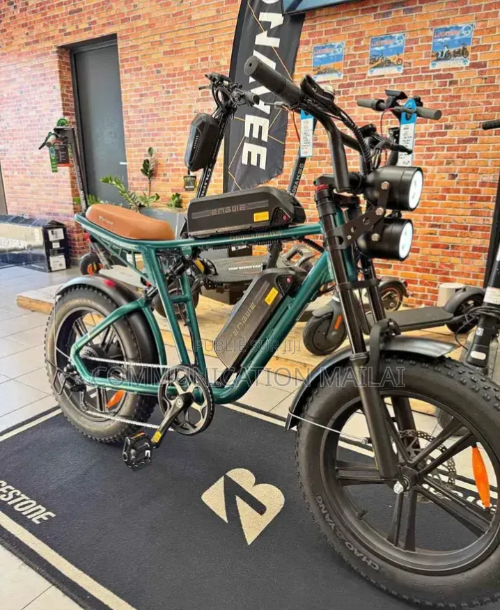Vélo Électrique