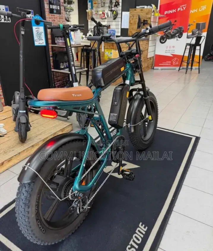 Vélo Électrique