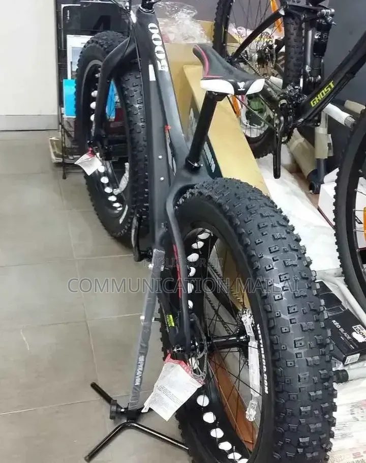 Vélo Électrique