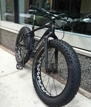 Vélo Électrique