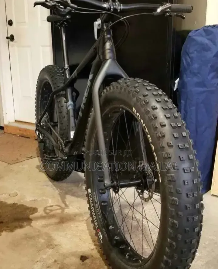 Vélo Électrique
