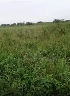 50 Hectare De Terrain Agricole À Céder Prix :4.000f/M2