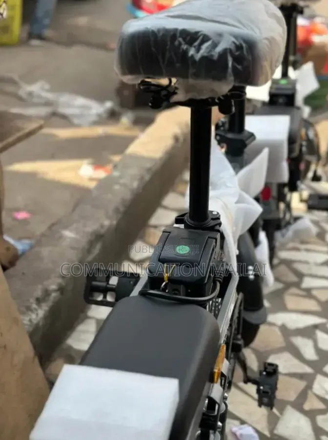 Vélo Électrique