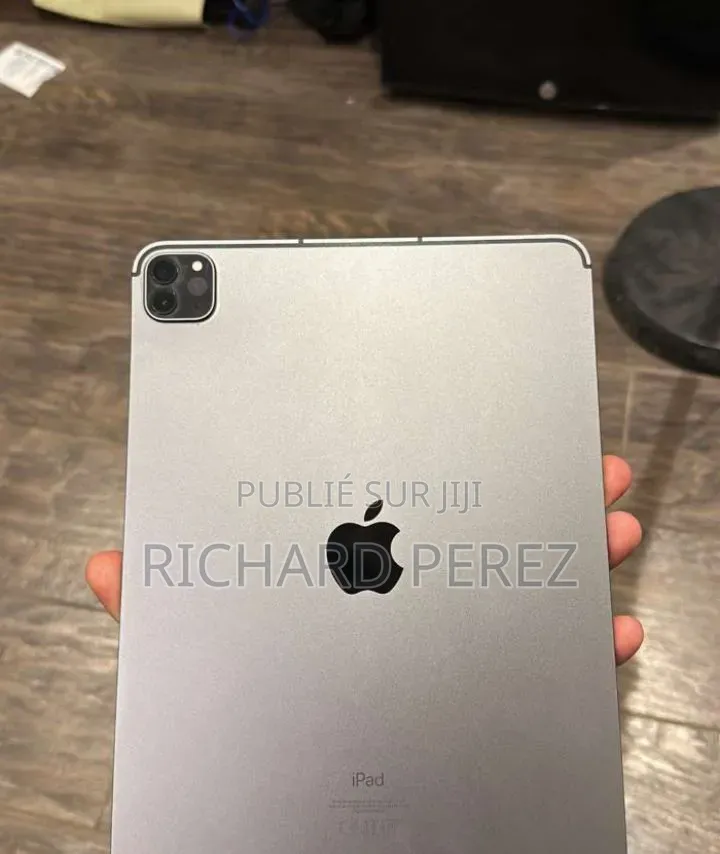 Nouveau Apple iPad Pro 128 GB Gris