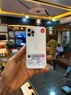 Nouveau Apple iPhone 12 Pro Max 256 GB Gris