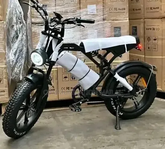 Vélo Électrique