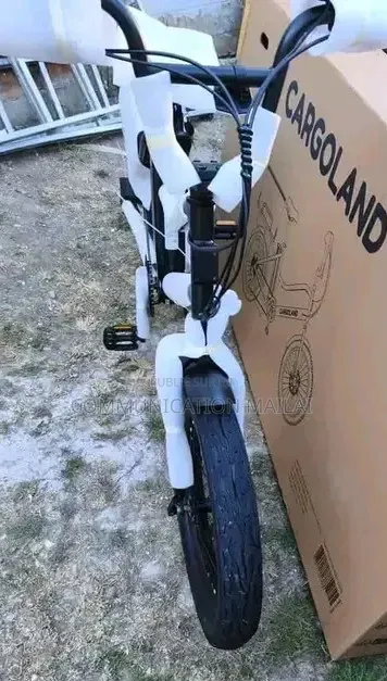 Vélo Électrique