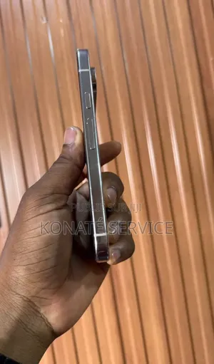 Nouveau Google Pixel 9 Pro 512 GB Autre