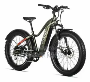 Vélo Électrique