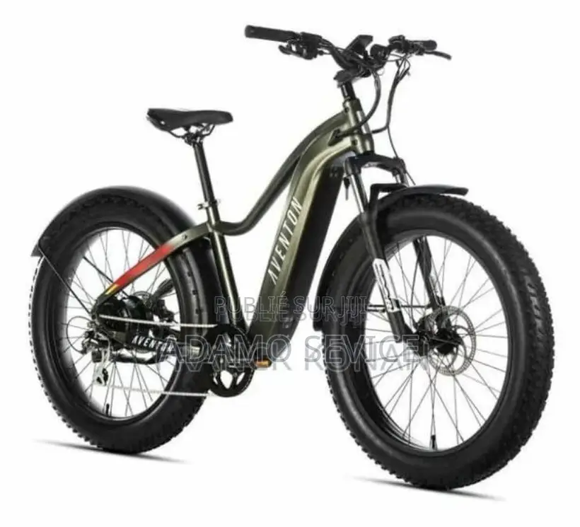Vélo Électrique